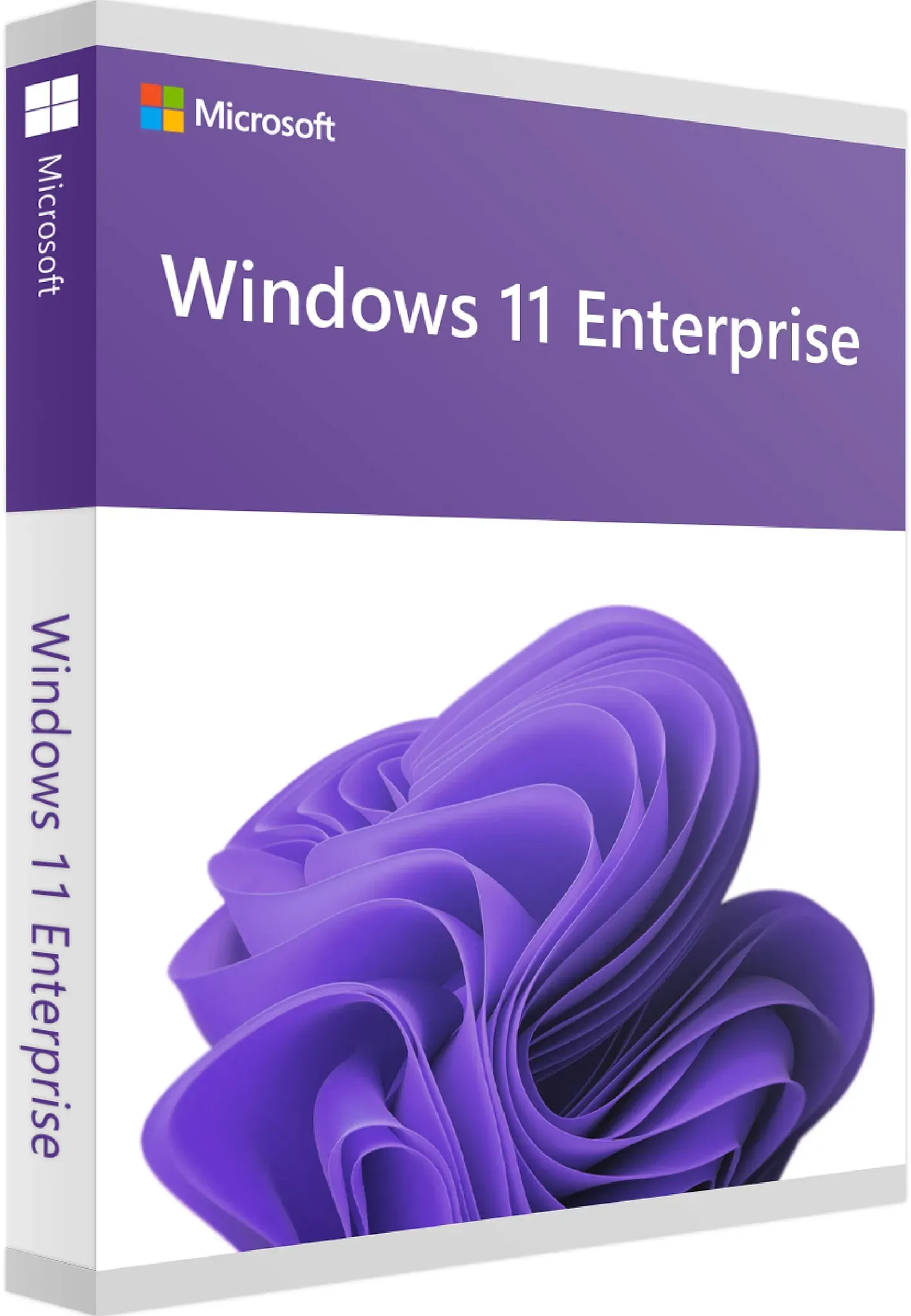 Microsoft Windows 11 Enterprise | Download | ESD